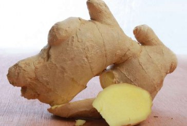 לא תאמינו מה יקרה אם תוכלו ג'ינג'ר בכל יום