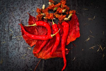 12 המזונות הטובים ביותר לשריפת שומן